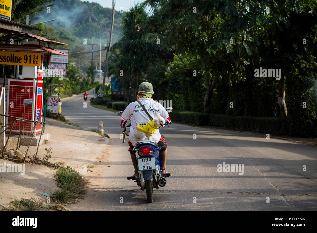 Man and a dog on a scooter, Ko (Koh) Lanta, Thailand. Stock Photo