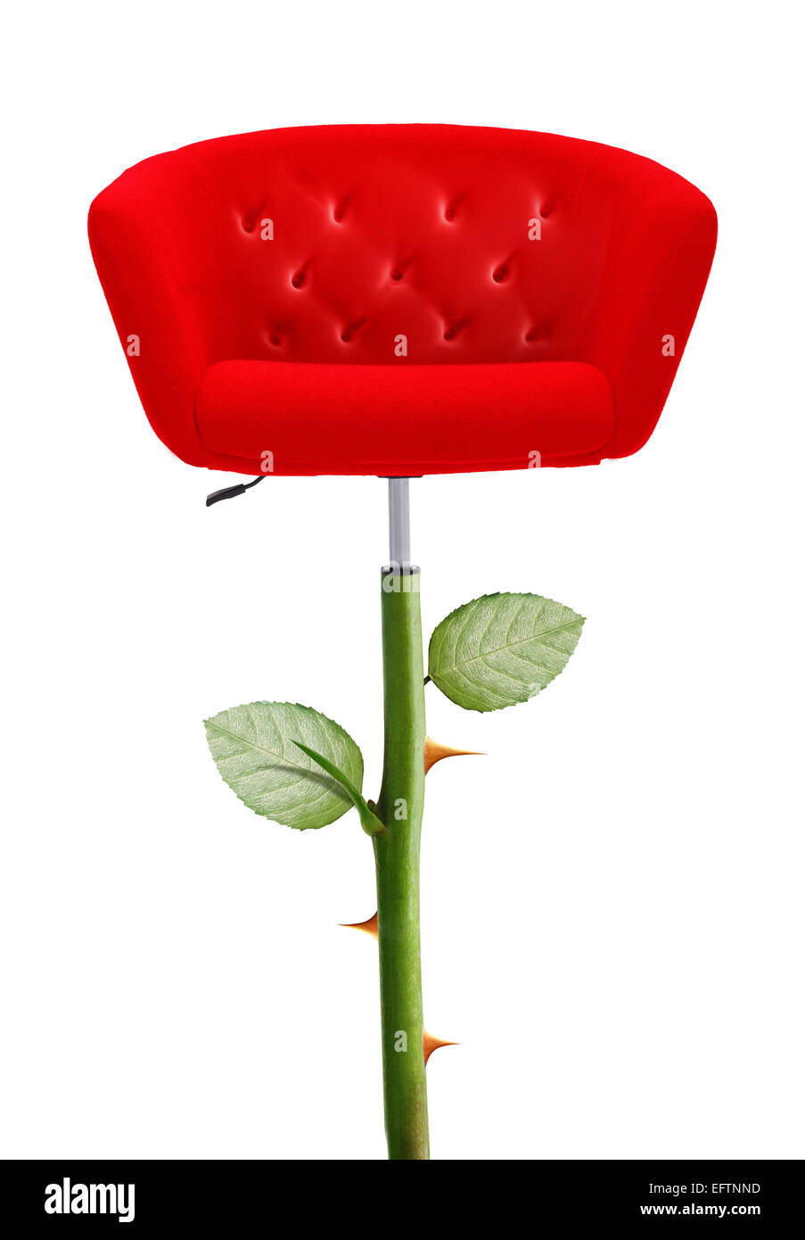Red Chair with rose stem and thorn, clipping path and alpha channel included. Stock Photo