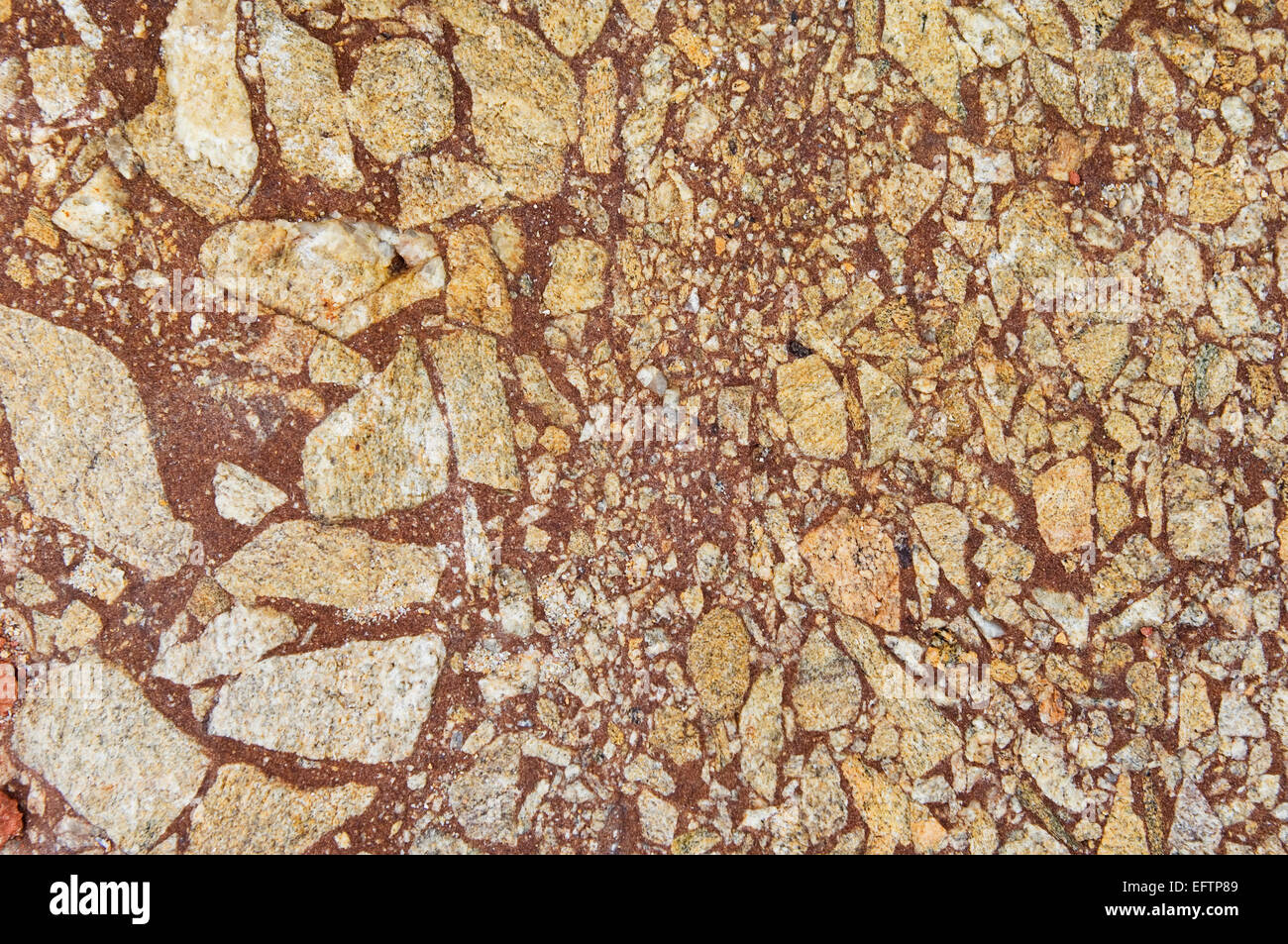 Close up of conglomerate rock, Brora, Sutherland, Scotland, UK. Stock Photo