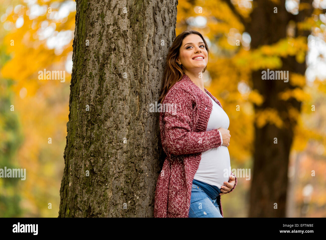 Young pregnant woman in the autumn park Stock Photo - Alamy
