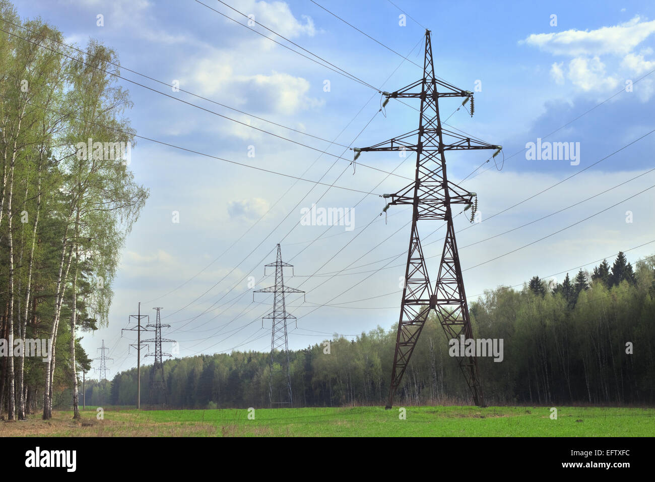 Использование лесов для линейных объектов. Лесная промышленность. Использование лесов для линейных объектов. Лесохозяйственный ландшафт. Использование лесов для линейных объектов.