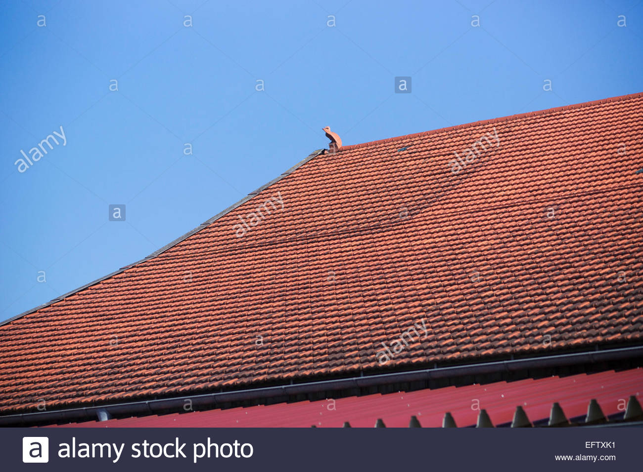 Bavaria Germany Nobody Red Ceramic Roof Tiles Roofing Roofs Tiles ... Bavaria Germany Nobody Red Ceramic Roof Tiles Roofing Roofs Tiles ...