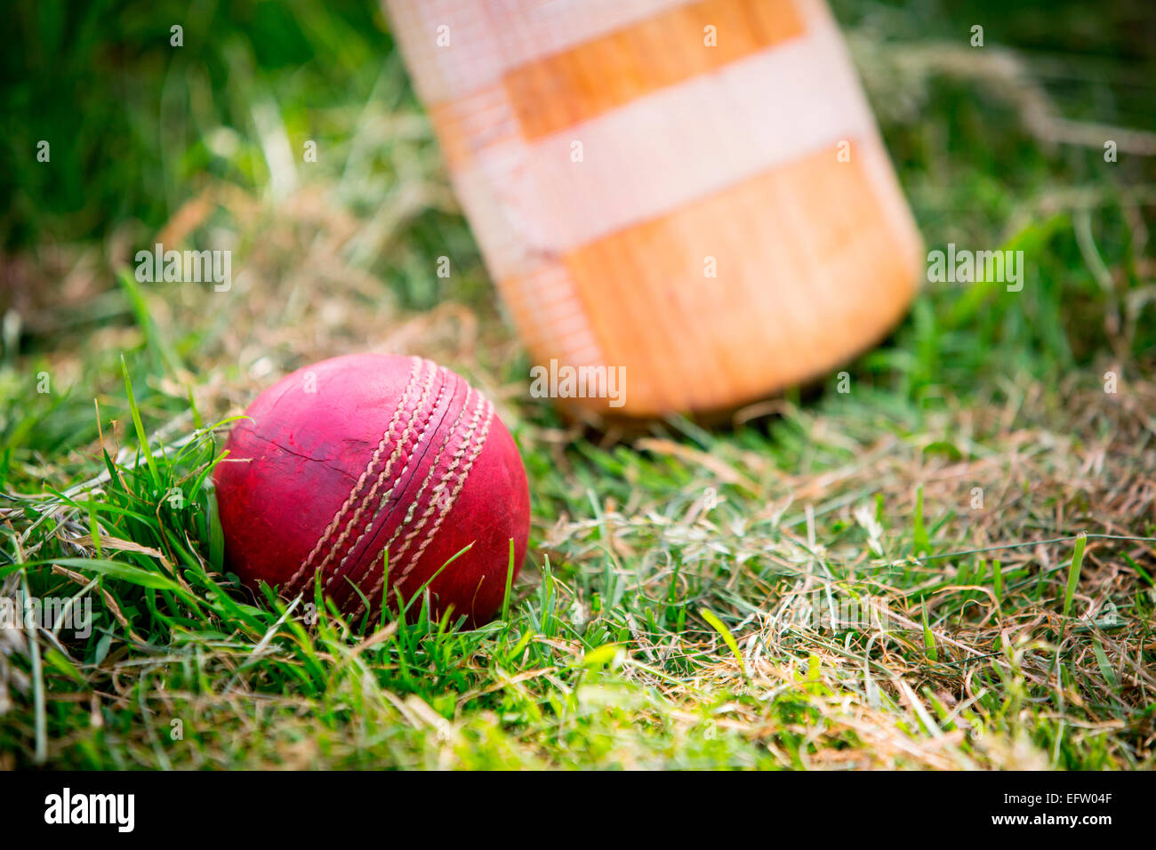 Red cricket ball and bat on grass, close up Stock Photo