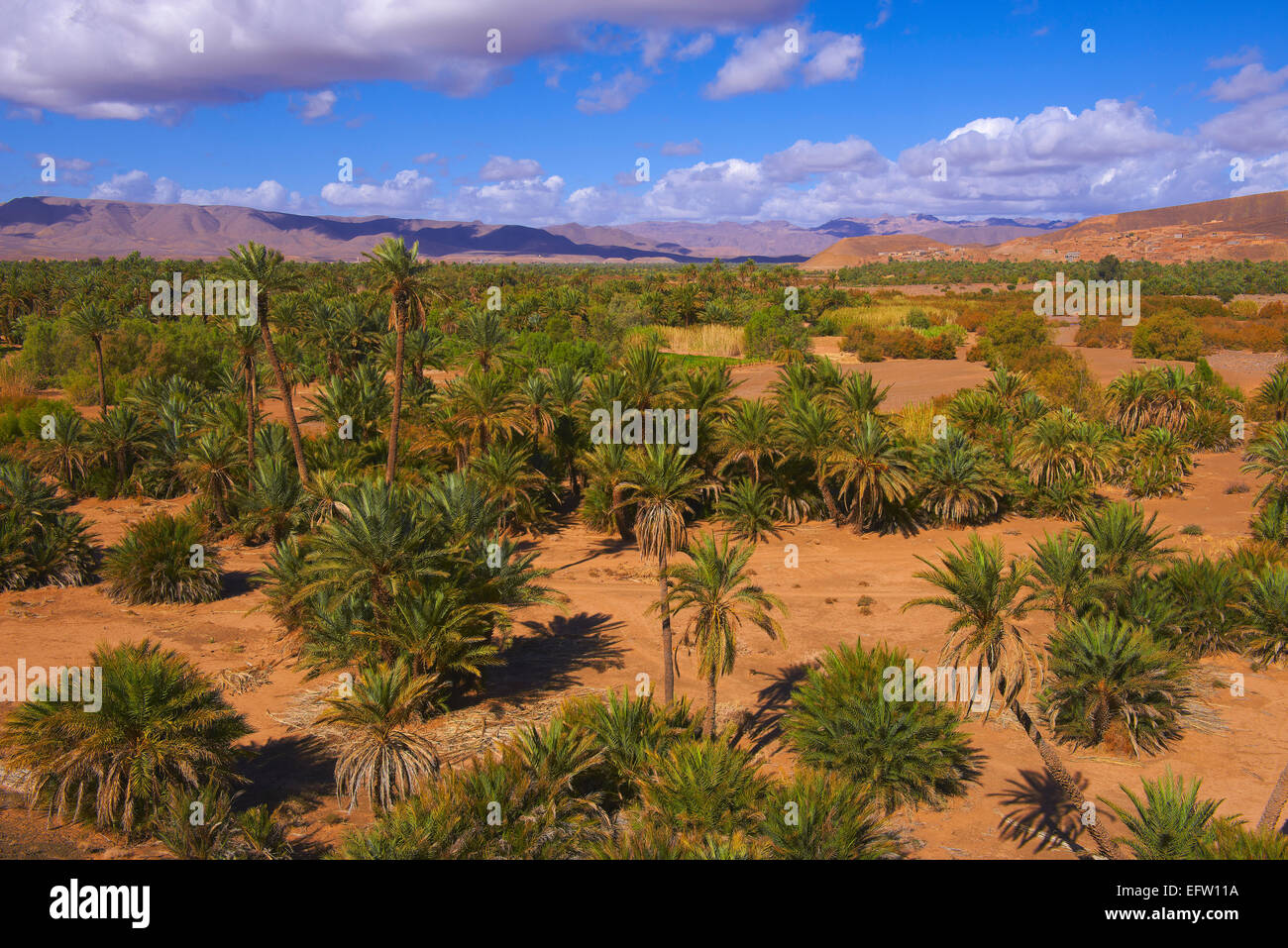 Djebel Kissane, Agdz, Palm Grove, Oasis, Draa Valley, Souss-Massa-Dra ...