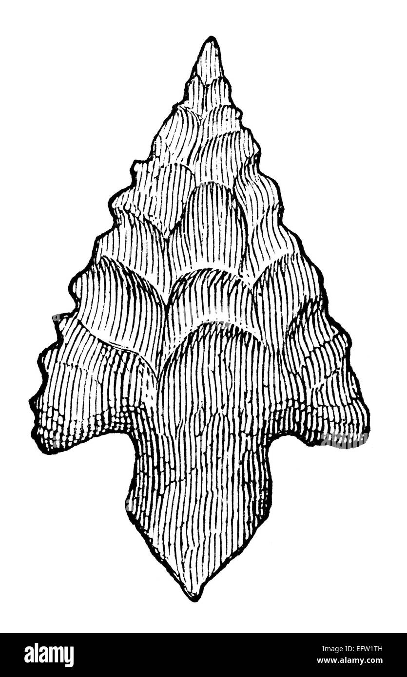 Victorian engraving of a flint arrow head. Digitally restored image from a mid-19th century Encyclopaedia. Stock Photo