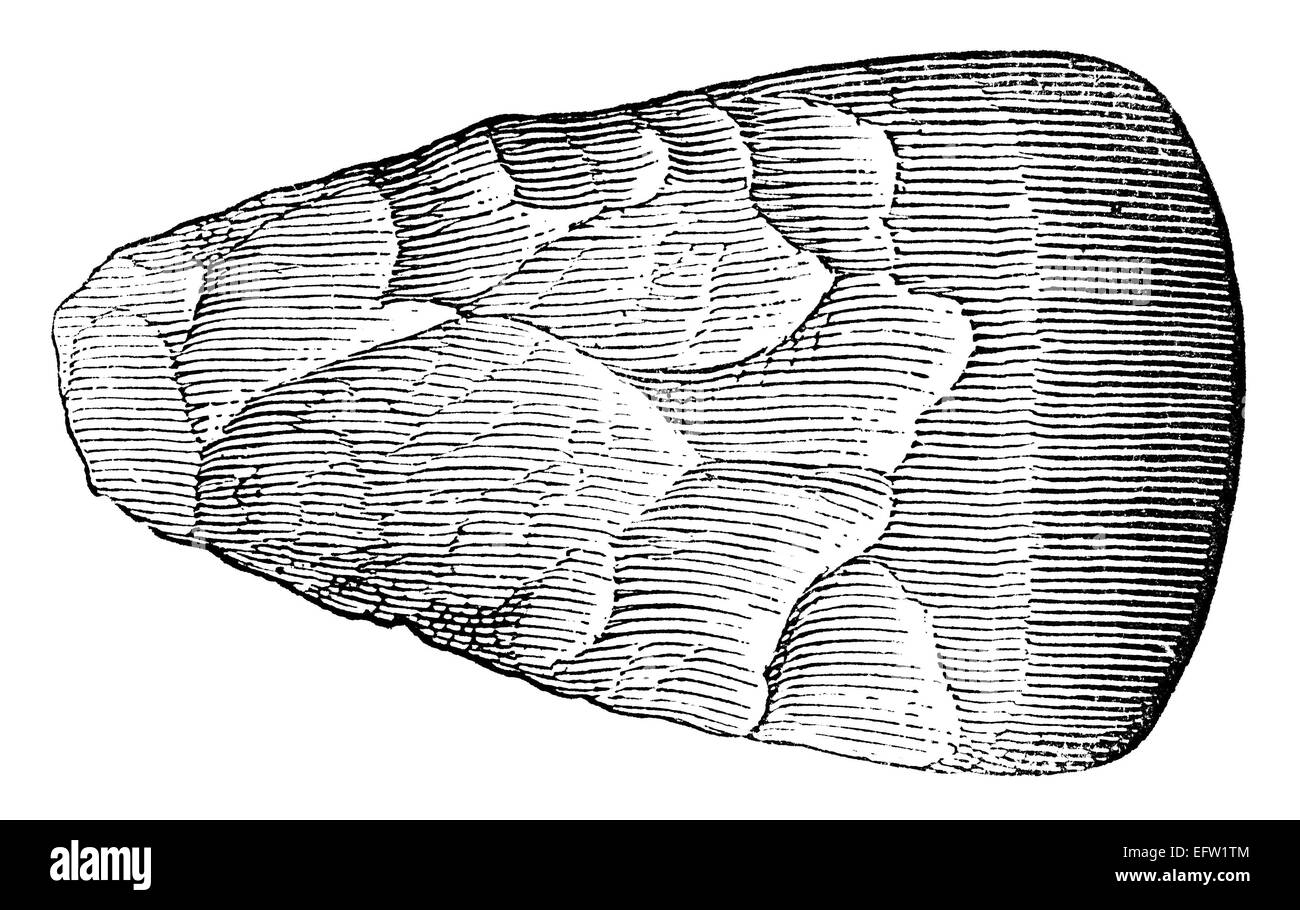 Victorian engraving of a  flint axe head. Digitally restored image from a mid-19th century Encyclopaedia. Stock Photo