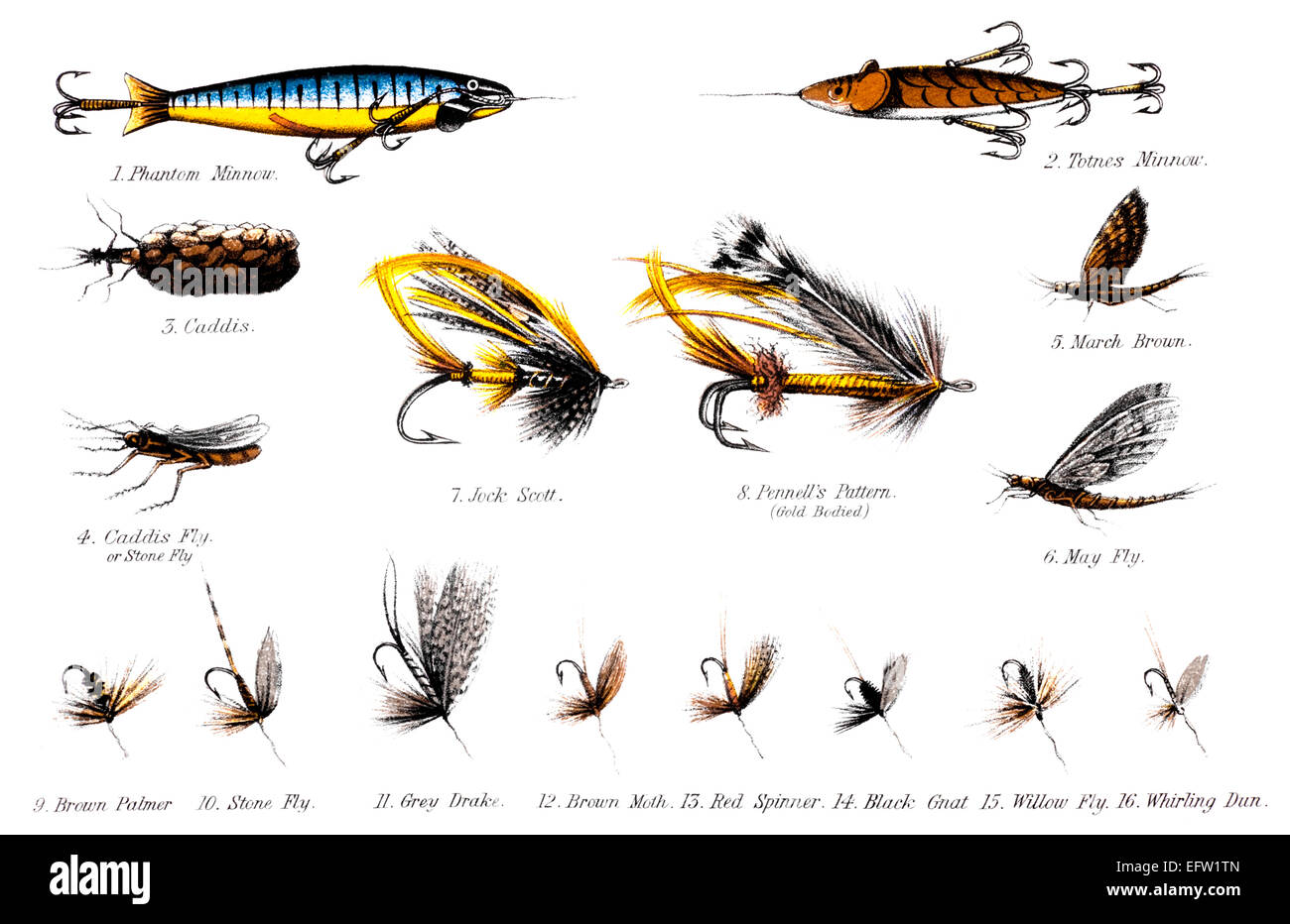 Fishing flies illustration hi-res stock photography and images - Alamy