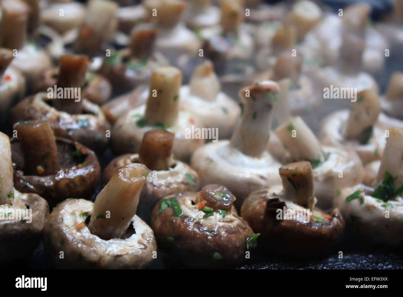Mushrooms cooking on grill Stock Photo Alamy