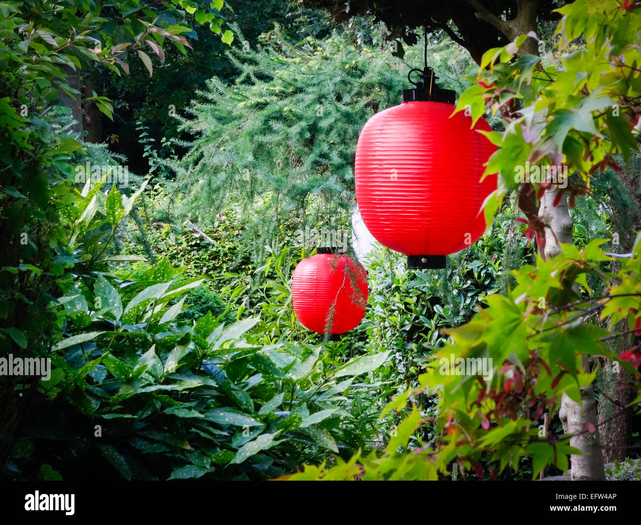 Red and white paper lanterns hung in a beautiful, peaceful leafy garden.  Celebrations, new year, party decorations. Stock Photo