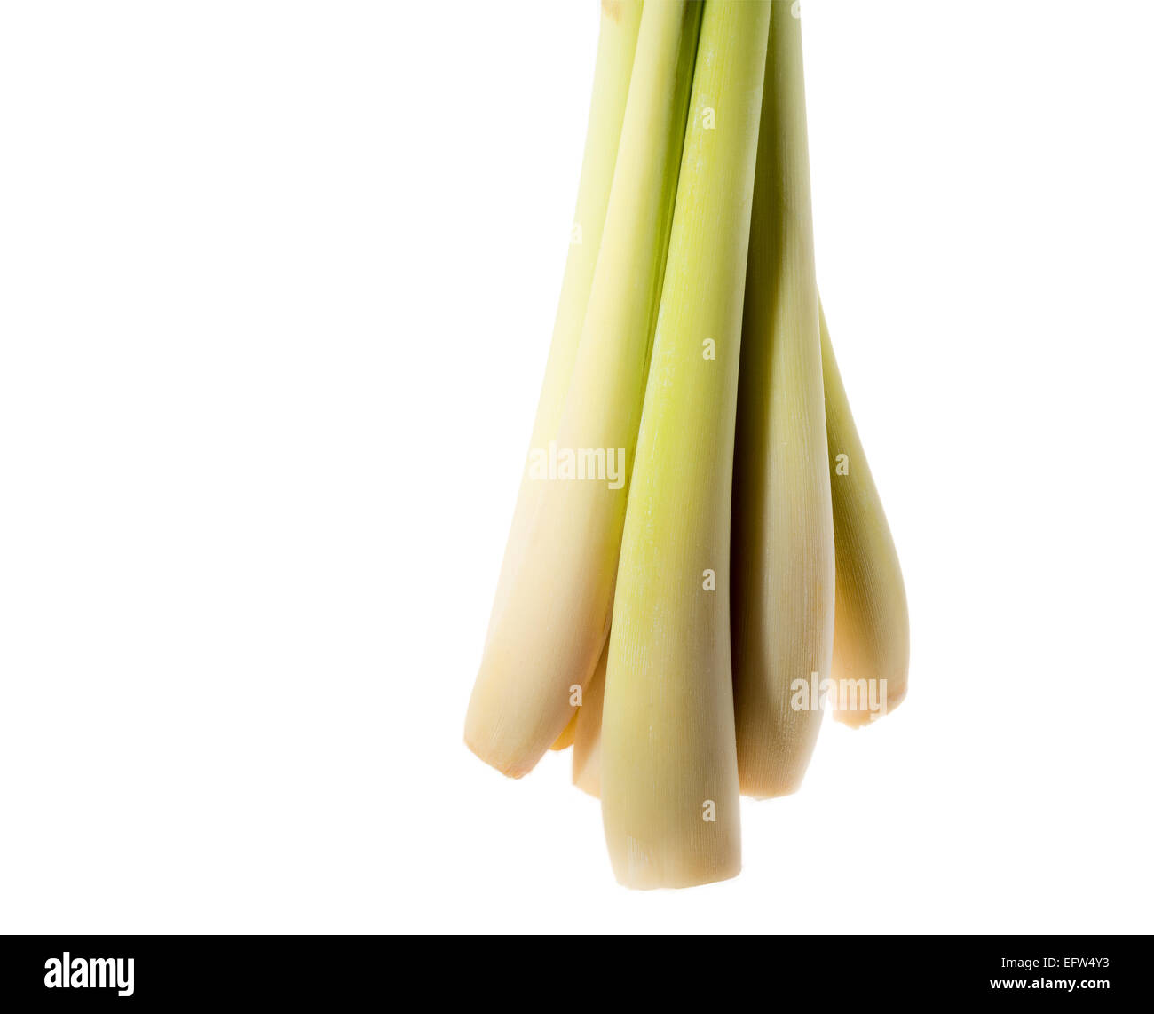 Indian bunch grass hires stock photography and images Alamy