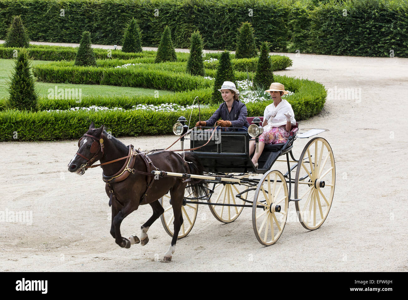 International competition for traditional carriages "La Venaria Reale", carriage: Americane , Horse: single Dutch,Italy Stock Photo