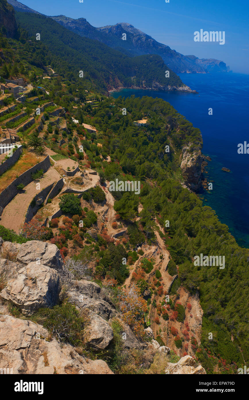 Mallorca, Banyalbufar, Serra de Tramuntana, UNESCO World Heritage Site, Mallorca Island, Majorca, Balearic Islands, Spain, Europ Stock Photo