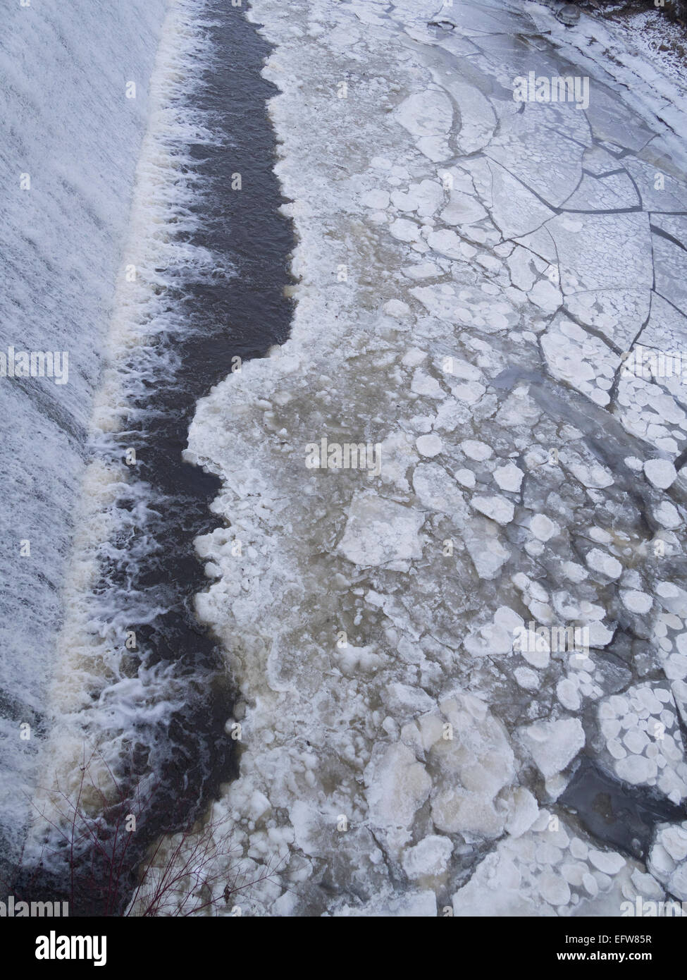 Ice cubes on water Stock Photo