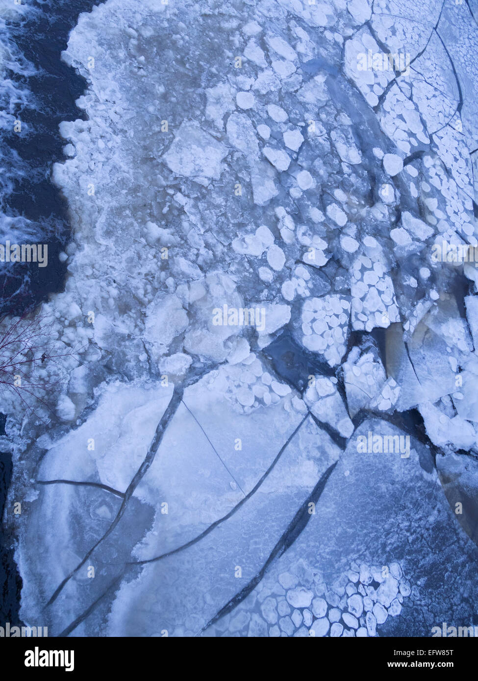 ice cubes on water Stock Photo