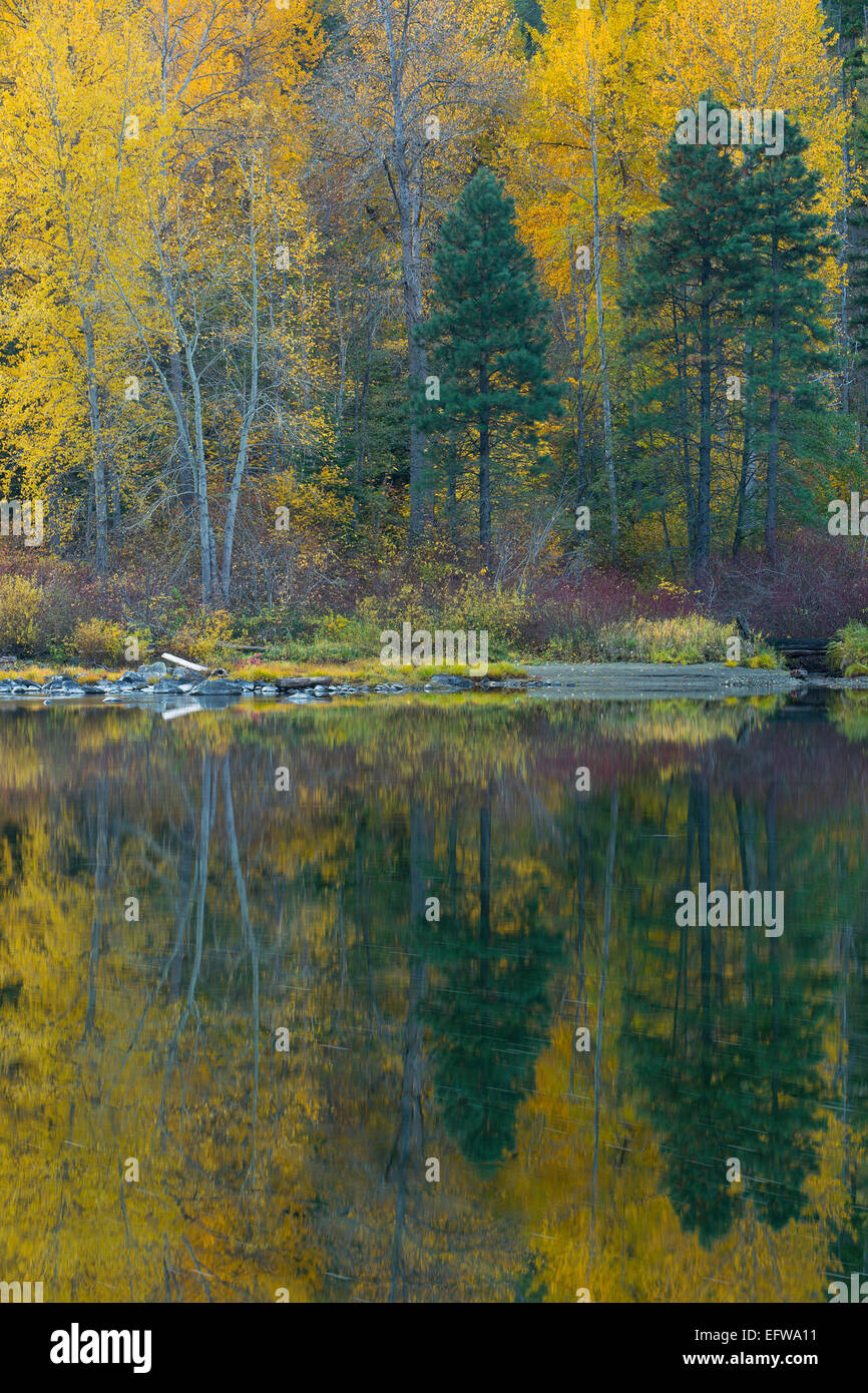 Fall color near the Swiftwater Dam near Leavenworth, Washington. USA Stock Photo