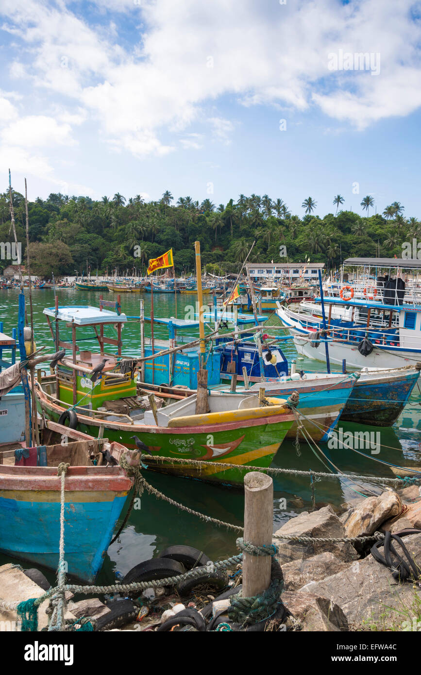 Fishing boats moored at Mirissa port, Mirissa, Southern province, Sri Lanka. Stock Photo