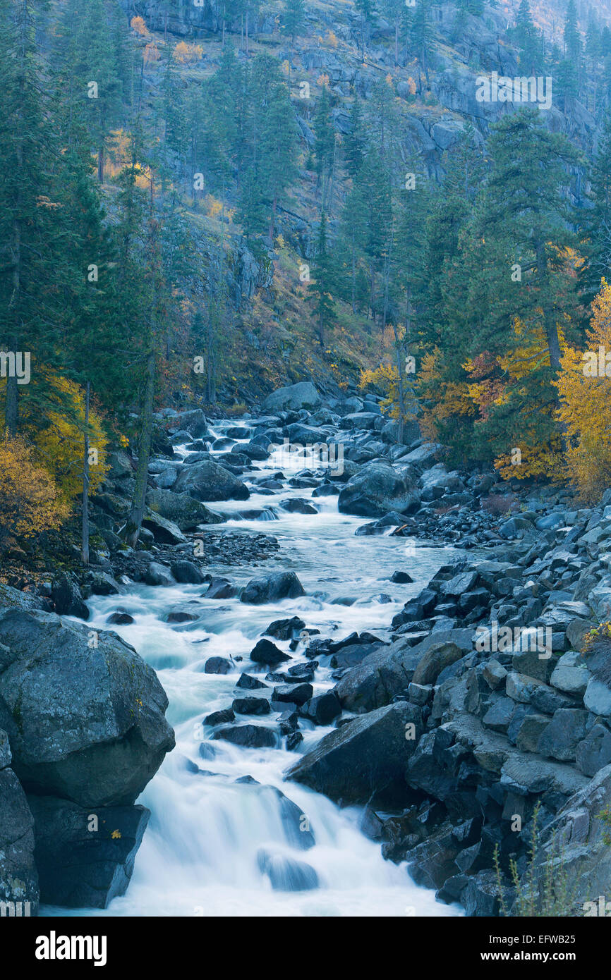 Icicle Creek in the fall within the Cascade Range in Washington, USA. Stock Photo