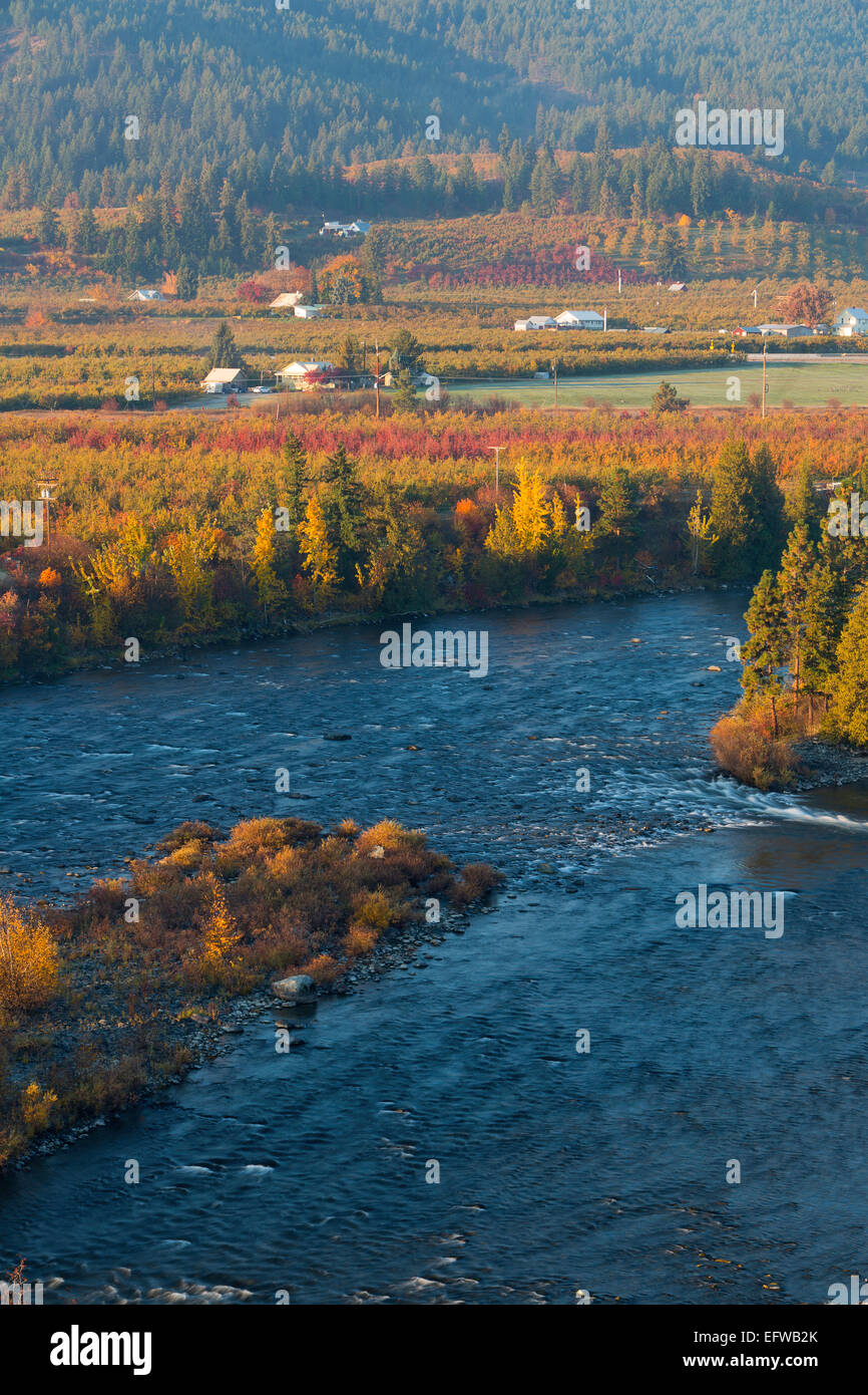 Fall color along the Wenatchee River near the town of Dryden, Washington. USA Stock Photo