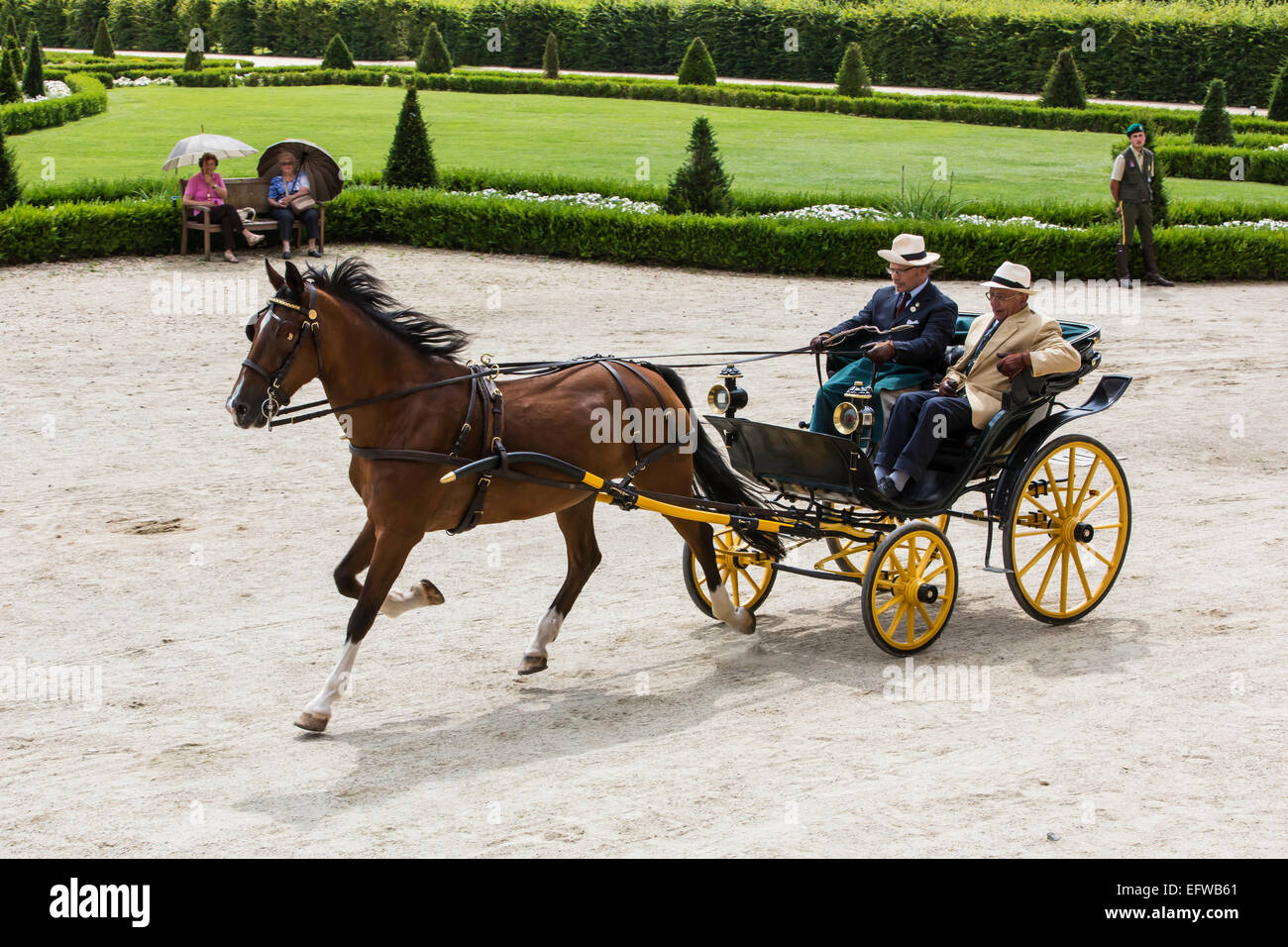 International competition for traditional carriages 'La Venaria Reale', carriage: Pistoiese , Horse: single Hackney,Italy Stock Photo