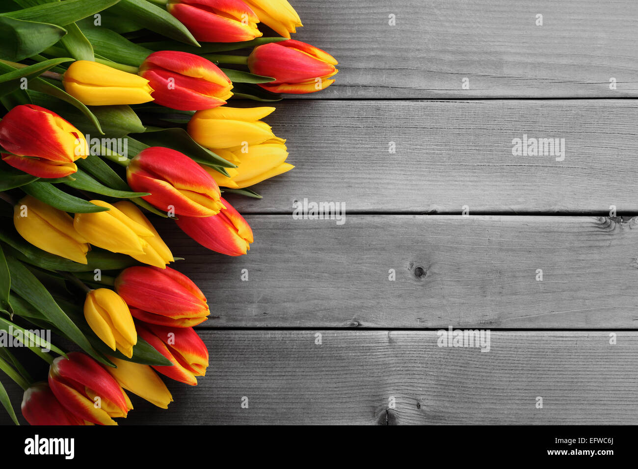 Tulips on grunge wood background Stock Photo - Alamy