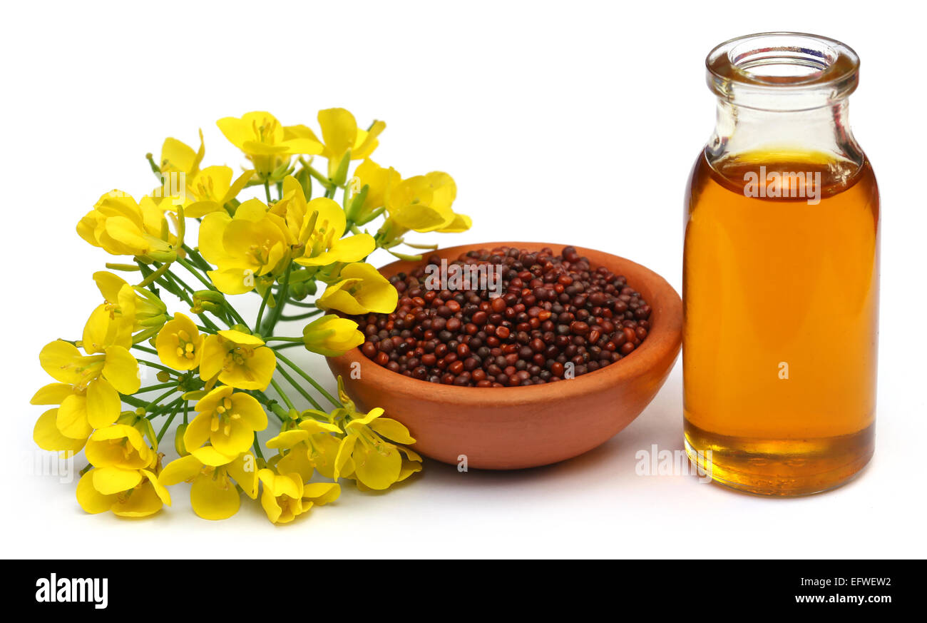 Sinapi Oil, Mustard - Essential Oil
