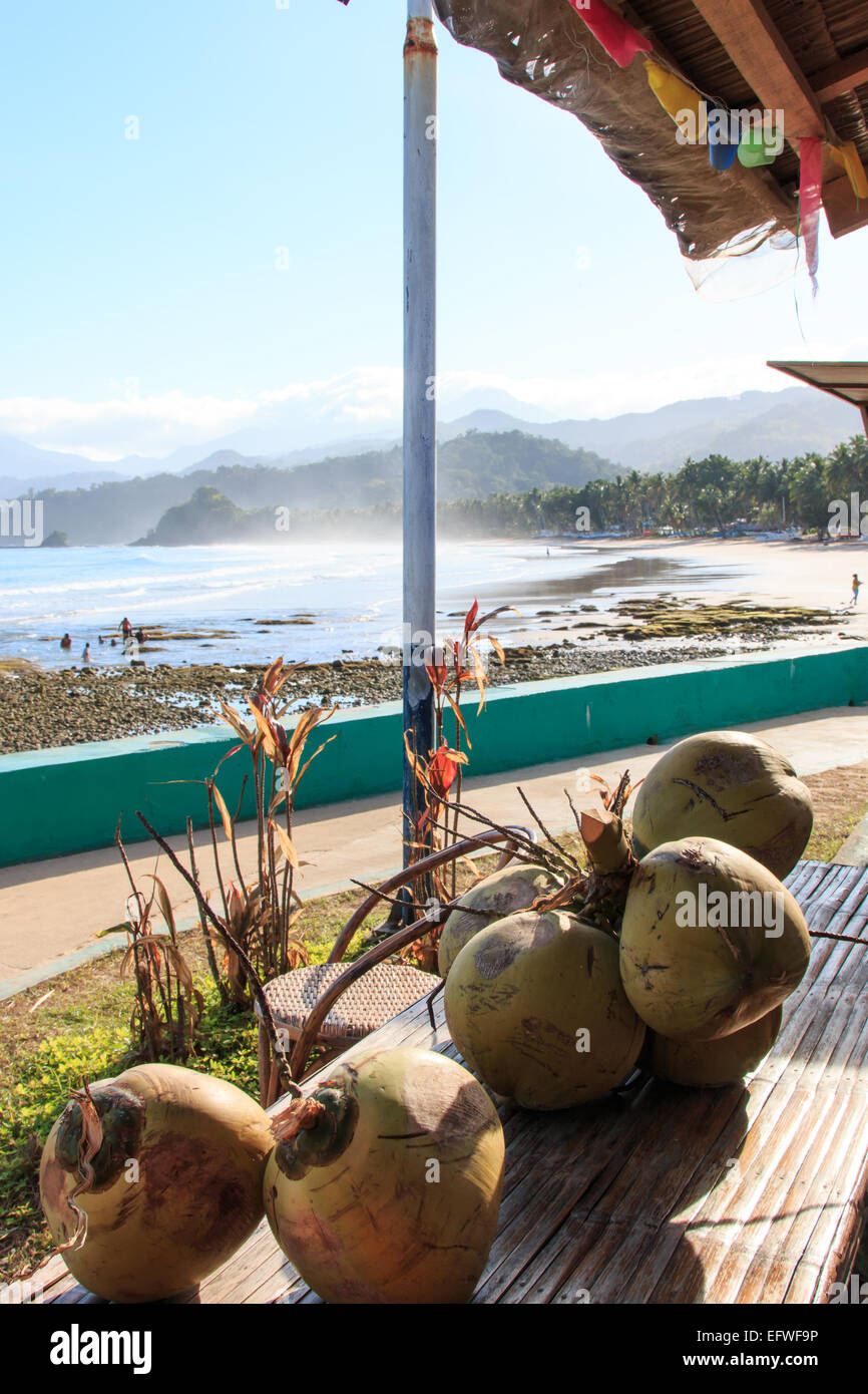 Coconut and tropical beach of Palawan, Philippines Stock Photo Alamy