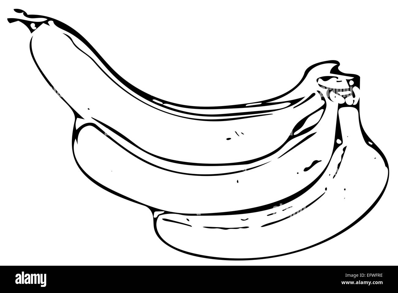 Banana bunch illustration Stock Photo