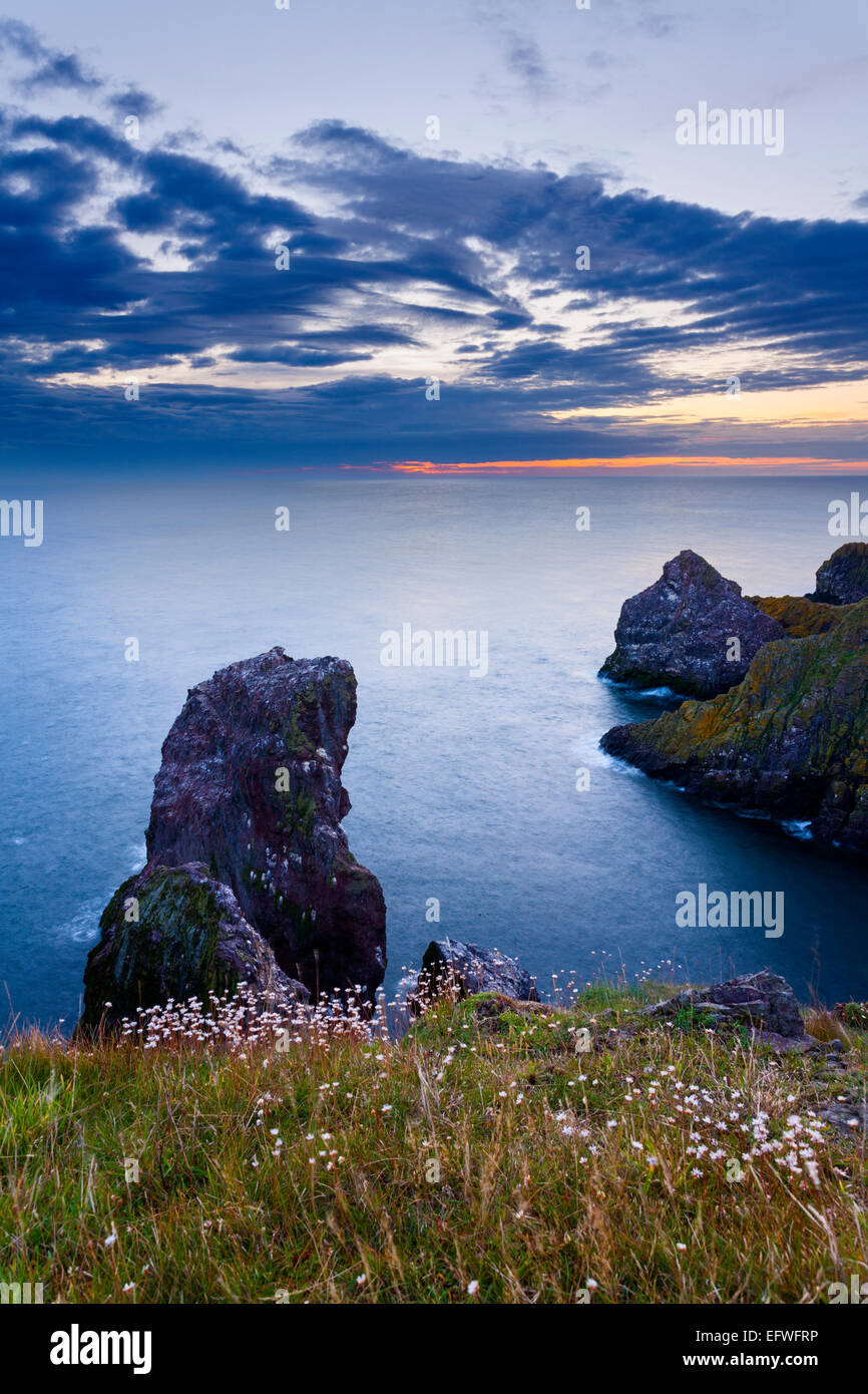 A sea stack and interestingly shaped cliffs at St Abbs head Nature