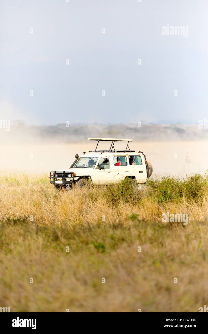 Safari tourists on game drive in Serengeti Stock Photo