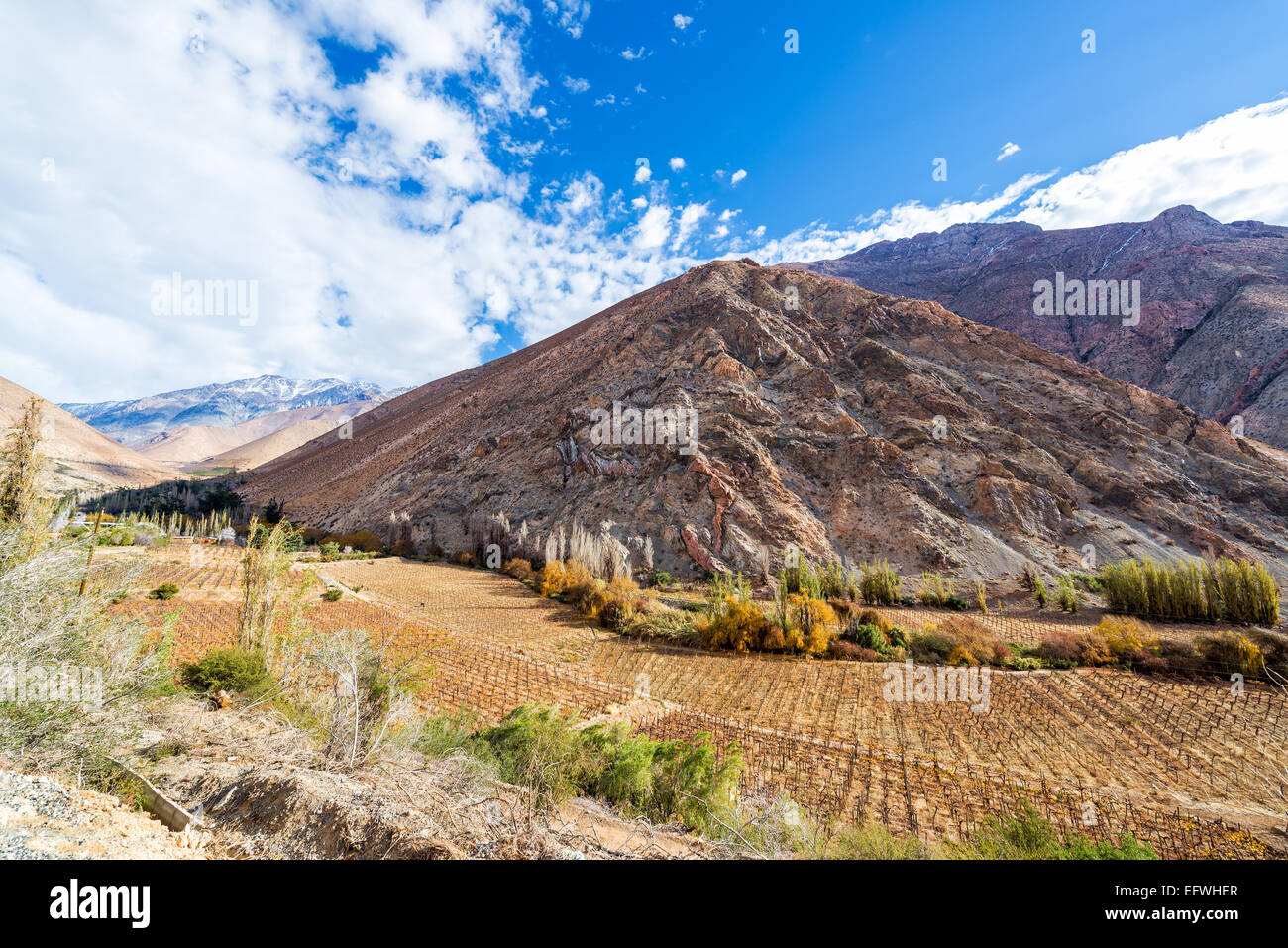 View of the Elqui Valley where a lot of pisco is produced in Chile Stock Photo