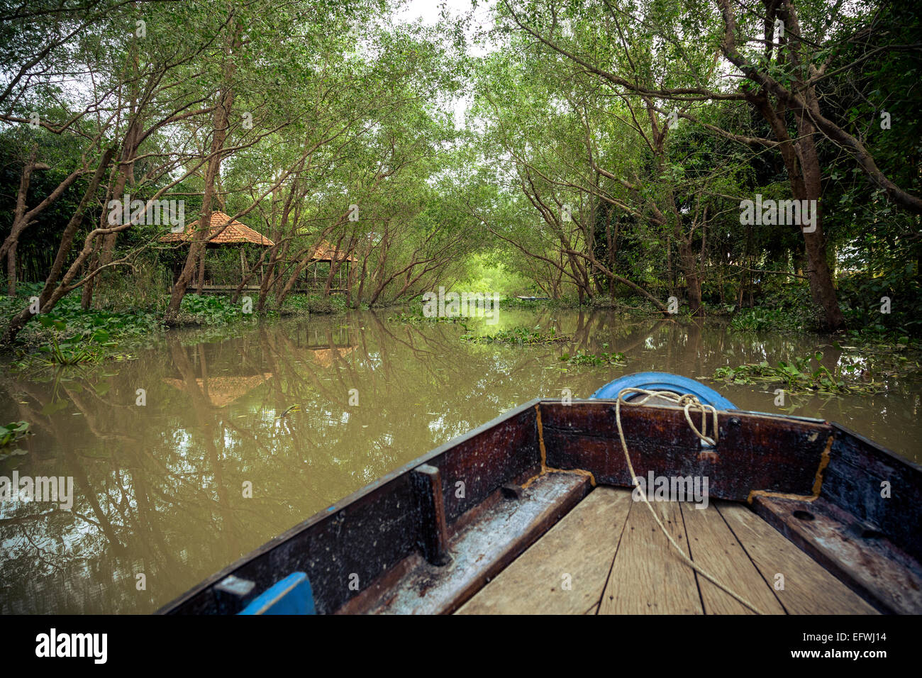 boat at the Mekong Delta, Can Tho, Vietnam Stock Photo - Alamy