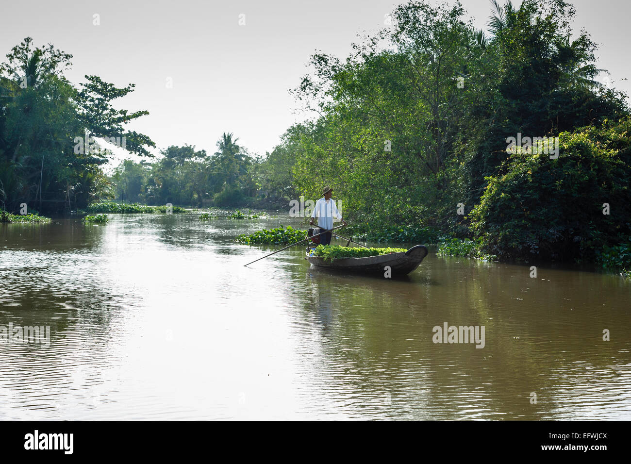 Man rowing a boat hi-res stock photography and images - Alamy