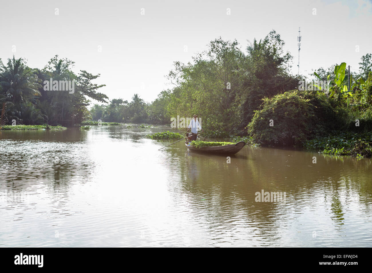 Man rowing a boat hi-res stock photography and images - Alamy
