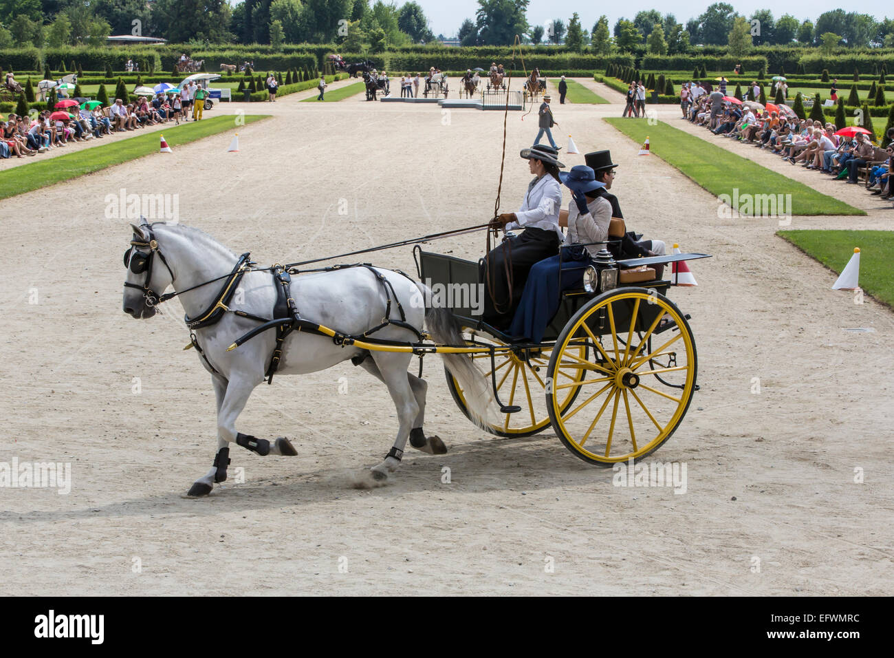 International competition for traditional carriages 'La Venaria Reale', carriage:Rally car Dos a Dos , Horse: Single Lusitanian Stock Photo