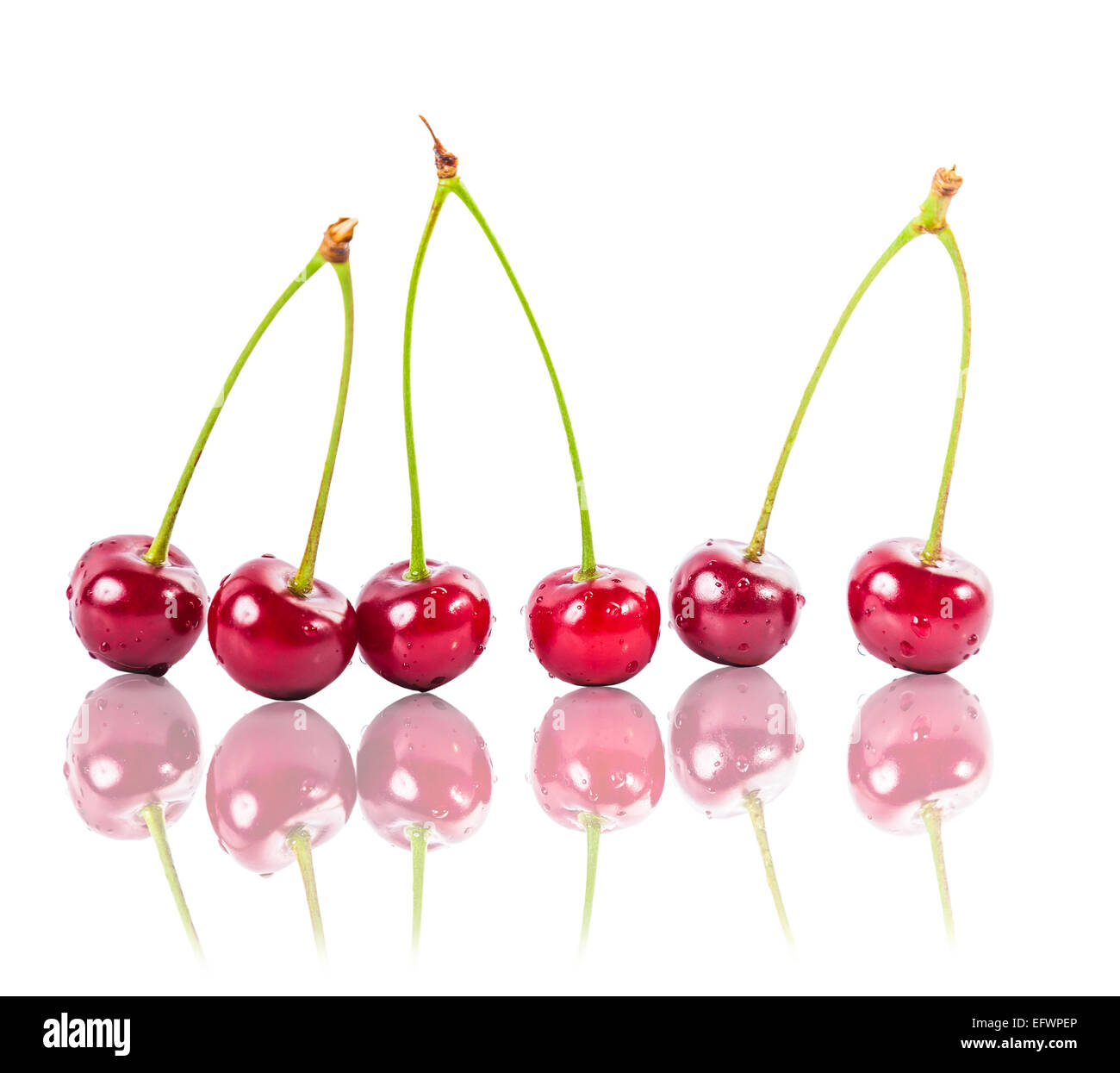 ripe cherries with reflection on white background isolated Stock Photo ...