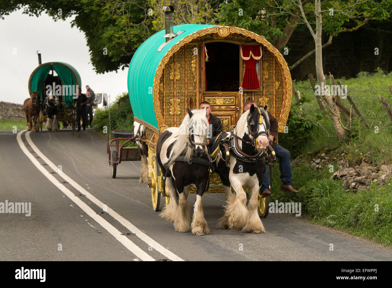 Traditional gypsy horse drawn caravan on road heading towards Appleby Horse Fair, Cumbria. Stock Photo
