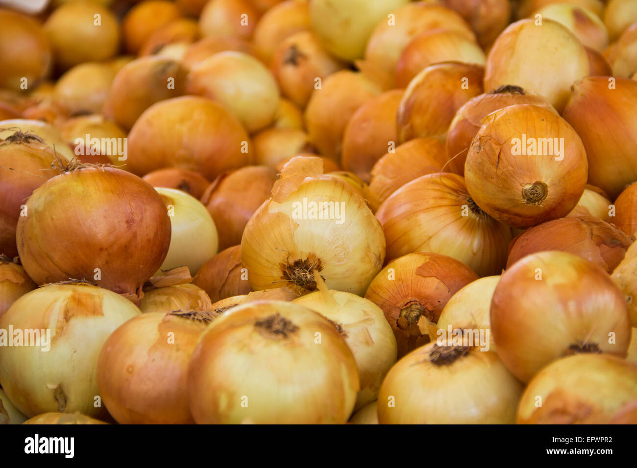 onions on market Stock Photo