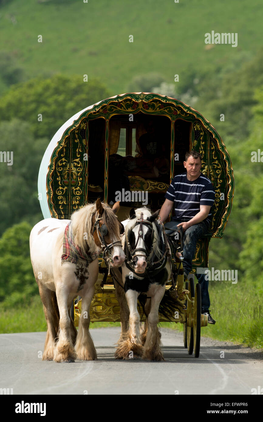Horse drawn gypsy caravan in hires stock photography and images Alamy