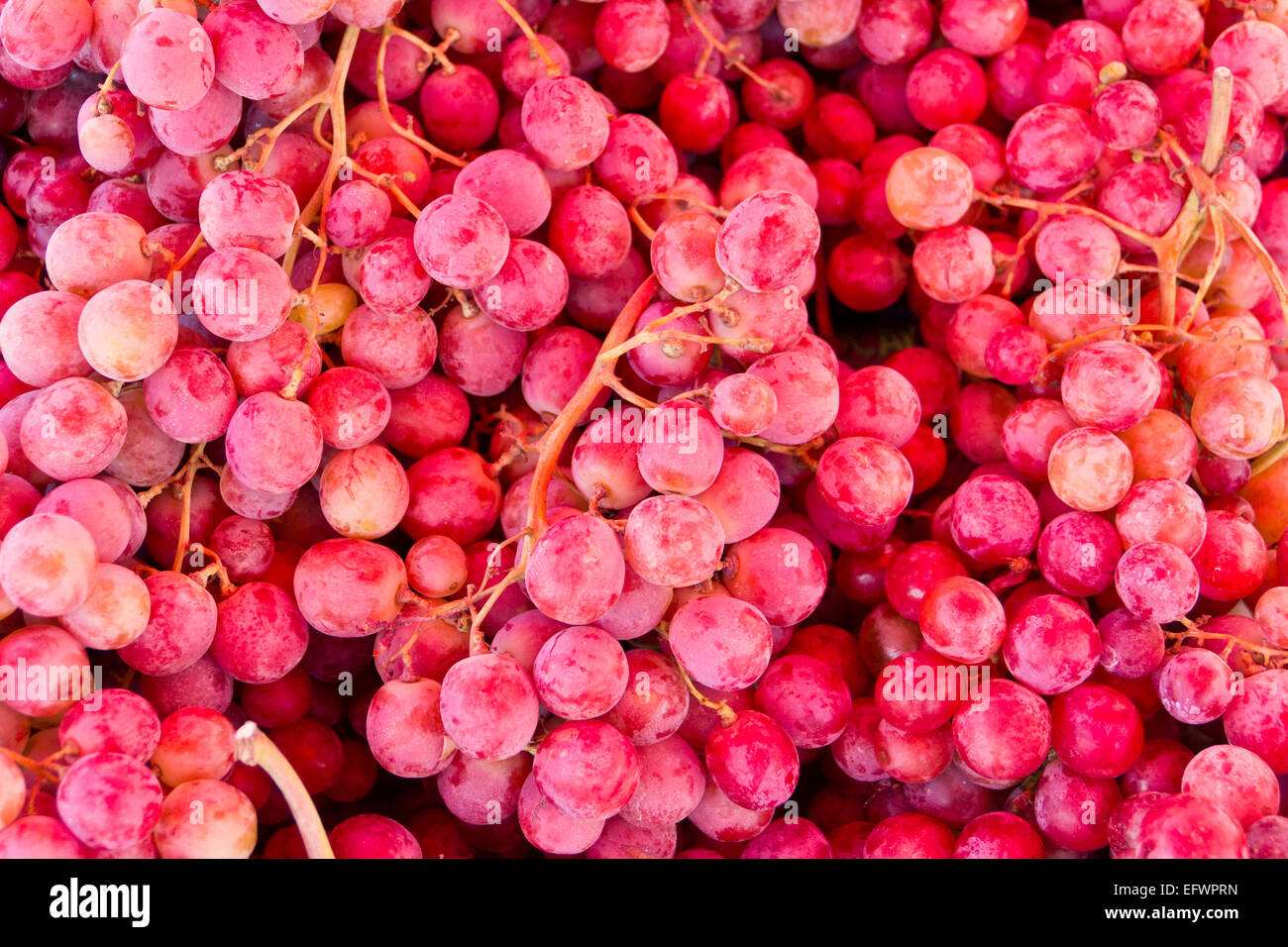 purple grapes close up Stock Photo Alamy