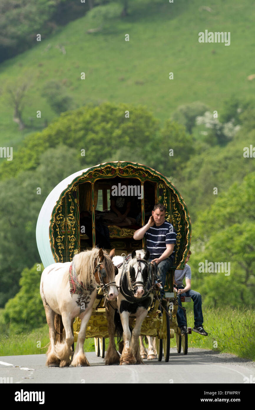 Horse drawn gypsy caravan in hires stock photography and images Alamy