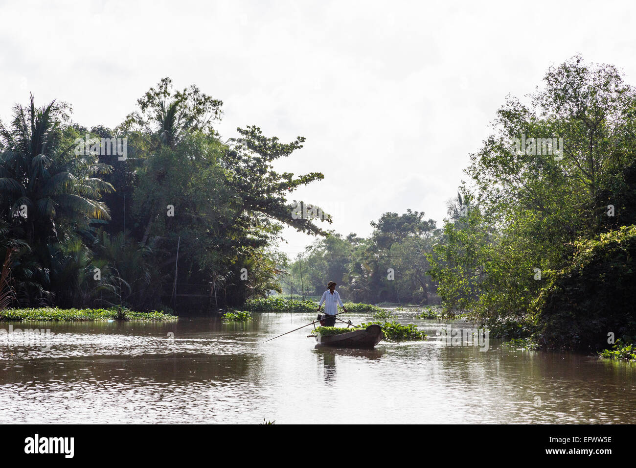 Man rowing a boat at the Mekong Delta, Can Tho, Vietnam Stock Photo - Alamy