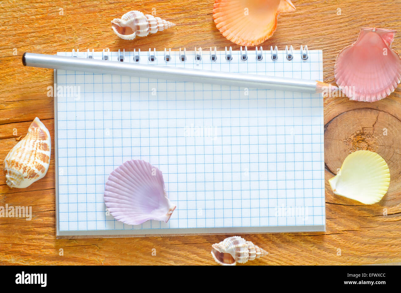 shells and note Stock Photo - Alamy