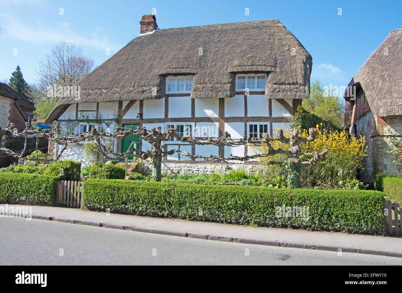 Selbourne Hampshire Thatch Cottage England Stock Photo Alamy