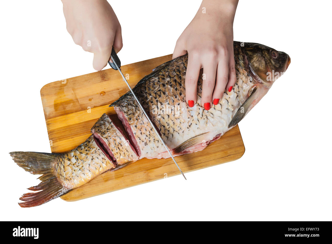 female hands with a knife cut fish on the white isolated