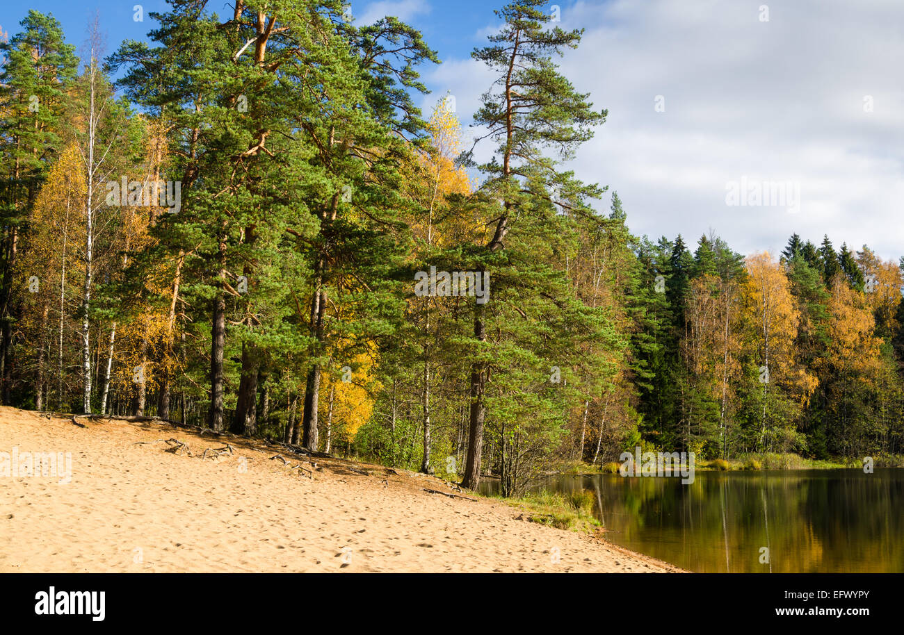 Beautiful autumn landscape with forest Lake Stock Photo - Alamy