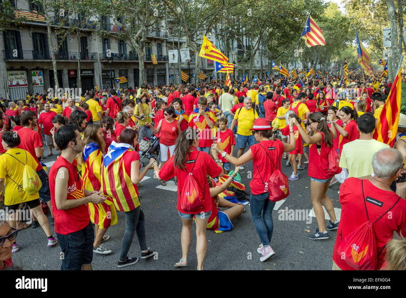 BARCELONA, SPAIN - SEPT. 11: People celebrating independence on the street of Barcelona during the National Day of Catalonia Stock Photo