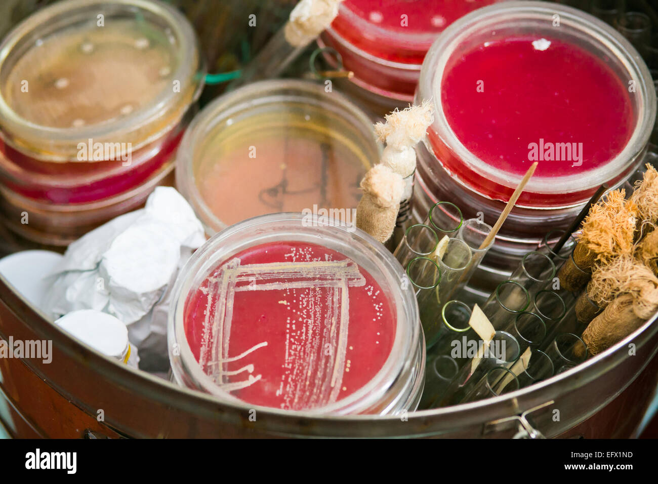 Petri dishes and test tubes stacked in metal container Stock Photo
