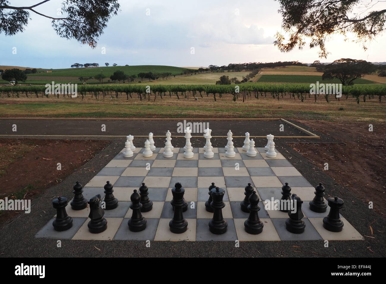 chess board seen close up with depth of field effect - 3D rendering Stock  Photo - Alamy