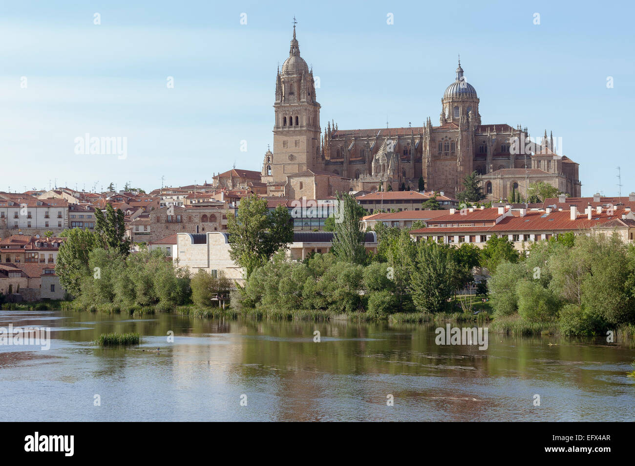 Tormes River and Cathedral of Salamanca, Castile and Leon, Spain Stock Photo