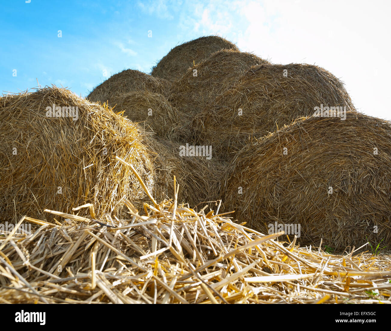 haystack Stock Photo